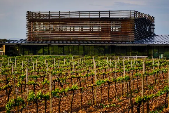 Bodega Bela