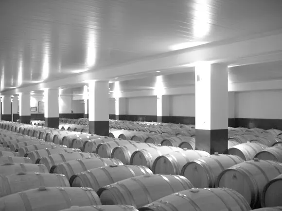 Bodegas y Viñedos Escudero S.L