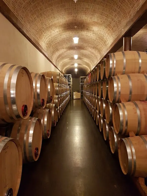 Bodegas J.A. Calvo Casajús