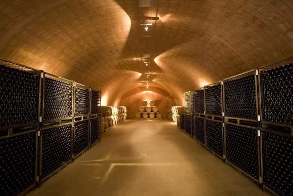 Celler Burgos Porta - Mas Sinén - Reus