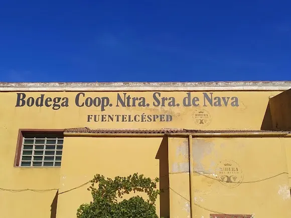 Bodega Coop. Ntra. Sra. de Nava - Aranda de Duero