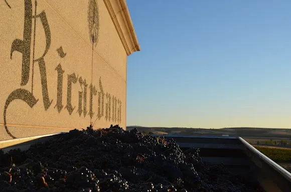 Bodegas Rojo (Ricardana) - Fuentecen