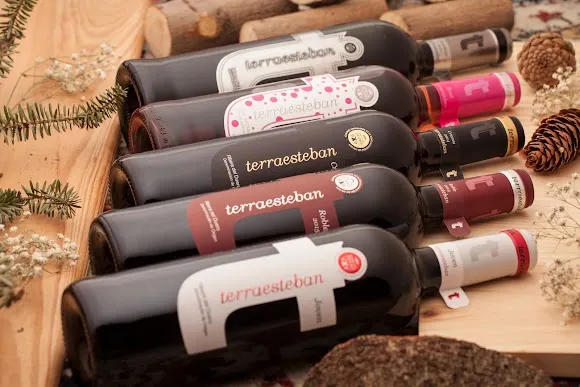 BODEGAS Y VIÑEDOS ACEÑA (TERRAESTEBAN)