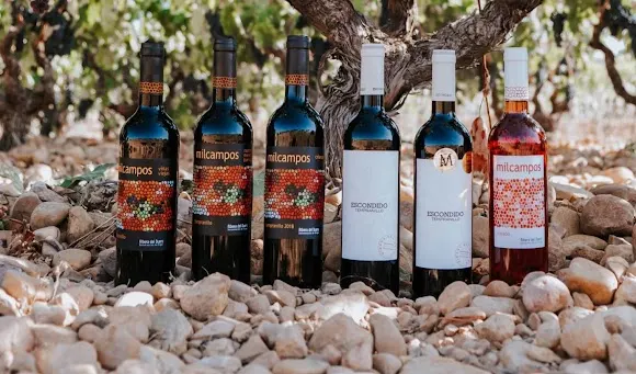 Bodega La Milagrosa S. Coop.