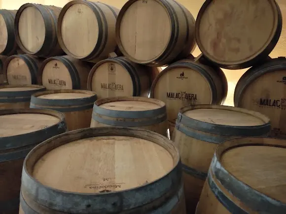BODEGAS MALACUERA