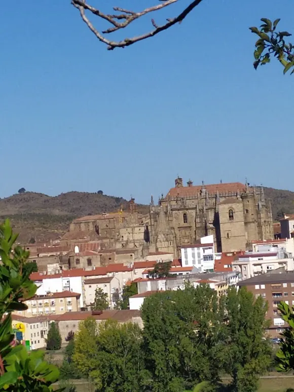 Bodegas y Viñedos Viña Placentina - Plasencia