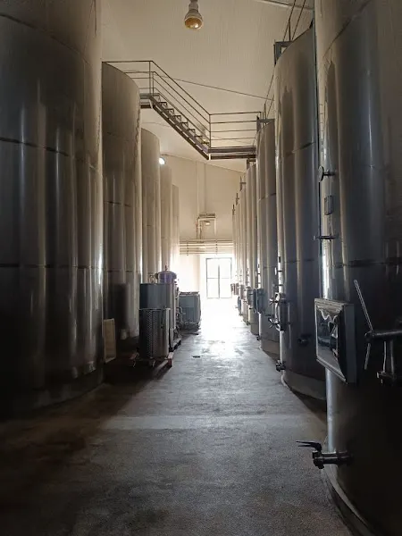 Vinos Barona - Cáceres