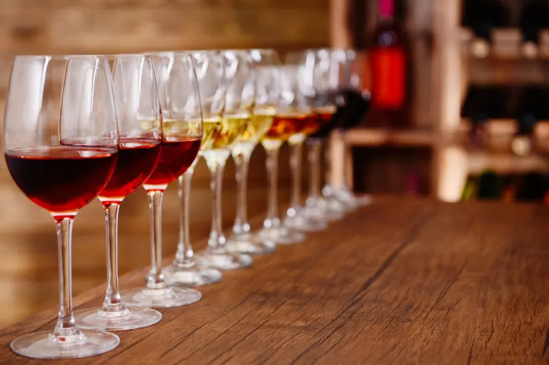 TCM Licores y Bodegas S.L. - Coria