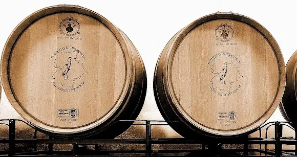 Bodegas Dehesavieja - Coria
