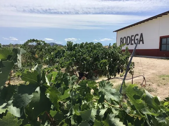 Bodegas Torrealbilla SL - Talavera de la Reina