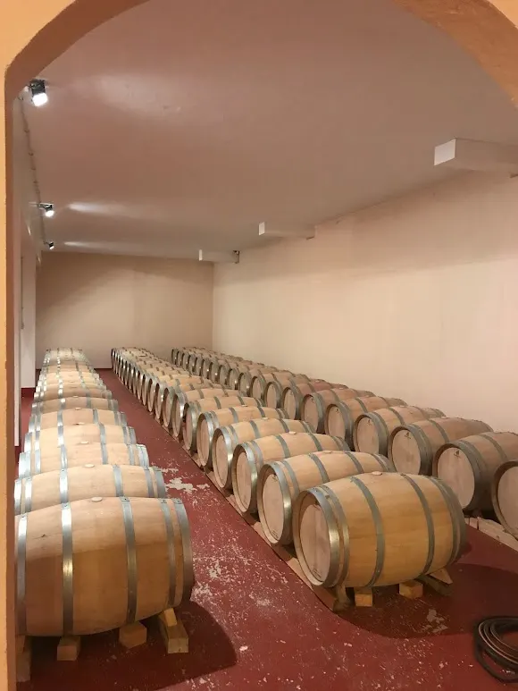 Bodega y Viñedos Agejas, S.L. - Segovia