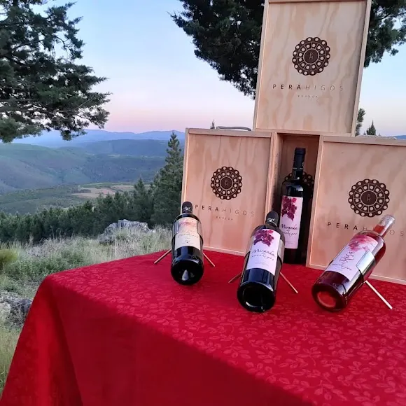 Bodegas Perahigos - Béjar