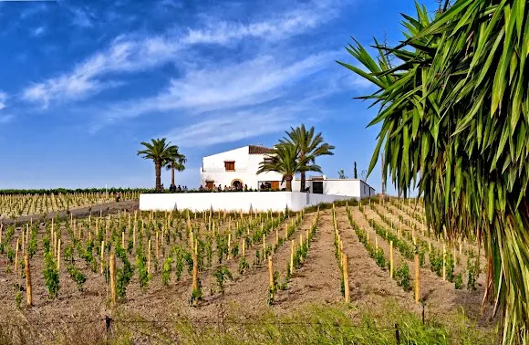 Compañía de Vinos del Atlántico - Jerez de la Frontera