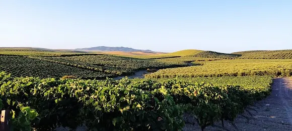 Cortijo jara - Jerez de la Frontera