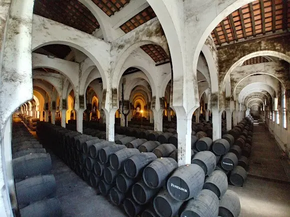 Bodegas Fundador