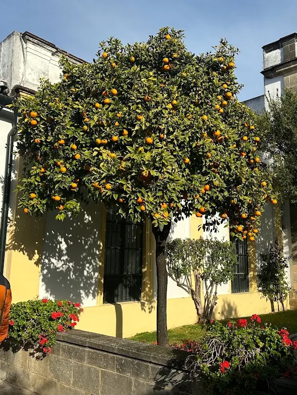 Bodegas Fundador - Jerez de la Frontera