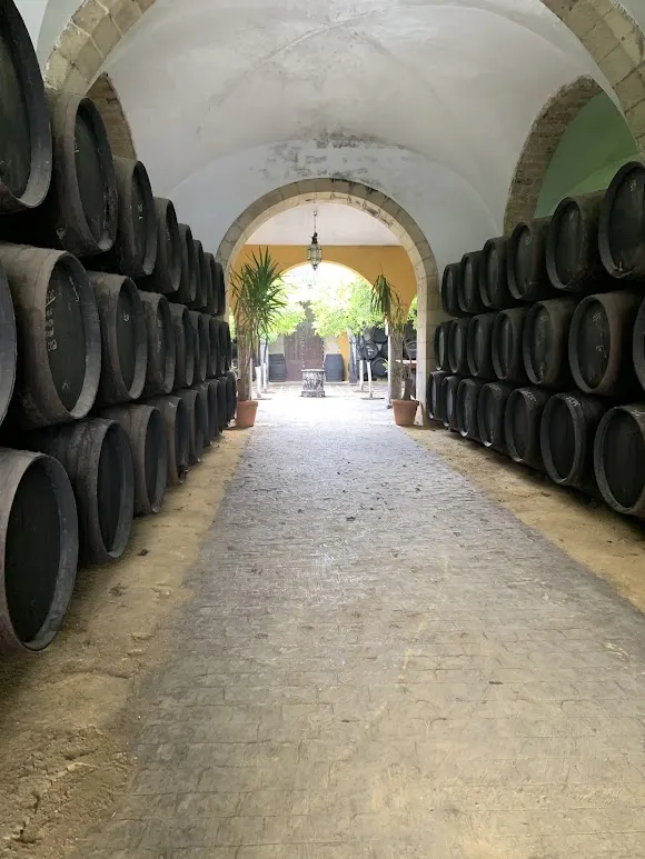 Bodegas y Viñedos Díez Mérito, Bodega Bertemati