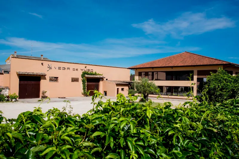 Bodegas y Viñedos Vega de Yuso, S.L. - Valladolid