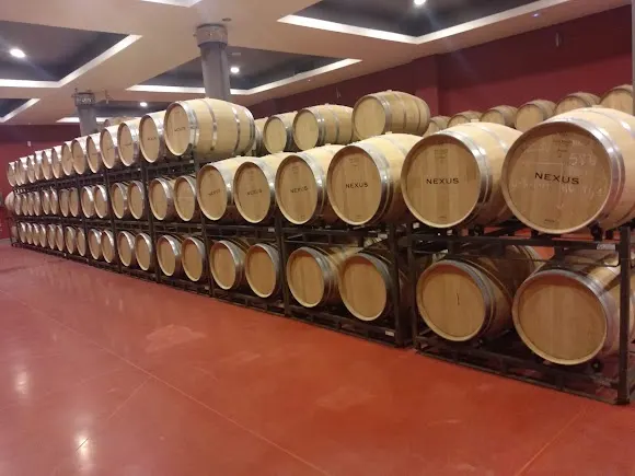 Bodegas Nexus & Frontaura - Valladolid