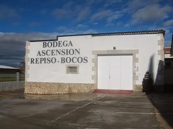 Bodega Ascensión Repiso Bocos - Valladolid