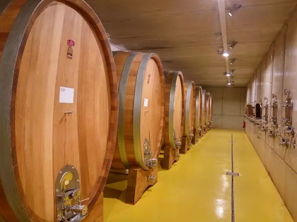 Les Vinyes del Convent - Tortosa