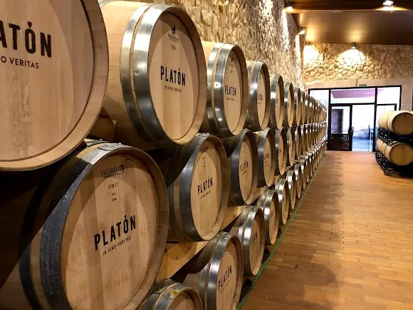 Bodega y viñedos Divina Proporción S.L. - Toro
