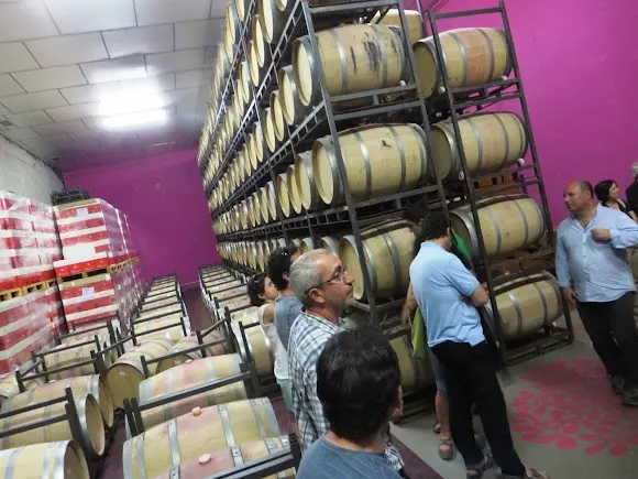 Bodega Elías Mora - Toro