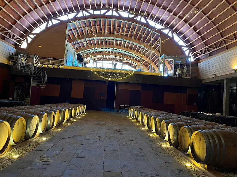 Bodega Pago Del Vicario - Bodega en Ciudad Real - foto 2