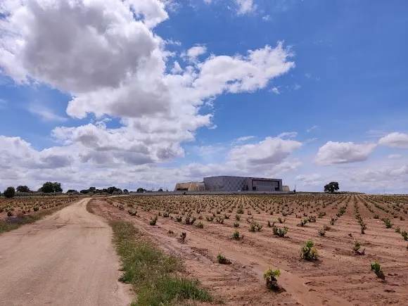 Bodegas Mano a Mano - Valdepeñas