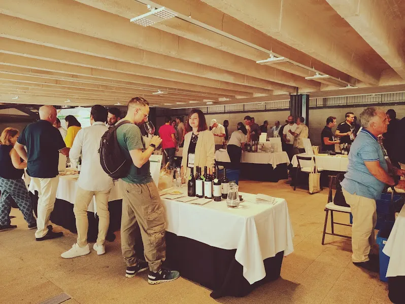 Bodegas David Auñón - Vinoteca en Villanueva de los Infantes - foto 2