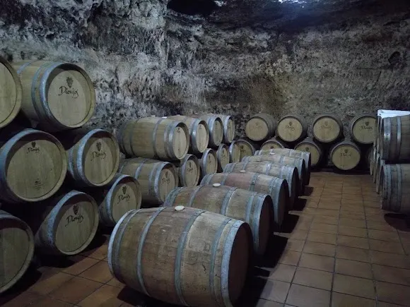 La Bodega de las Estrellas - Valdepeñas