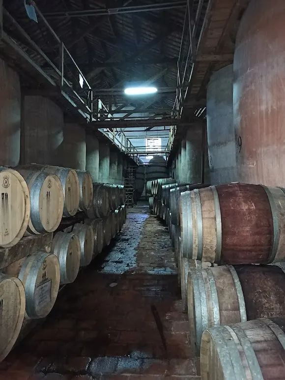 Bodegas Navarro Hermanos Racimo de Oro