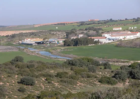 Bodegas Montalvo Wilmot - Pago los Cerrillos" - Argamasilla de Alba