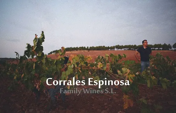 Bodega Corrales Espinosa - Valdepeñas