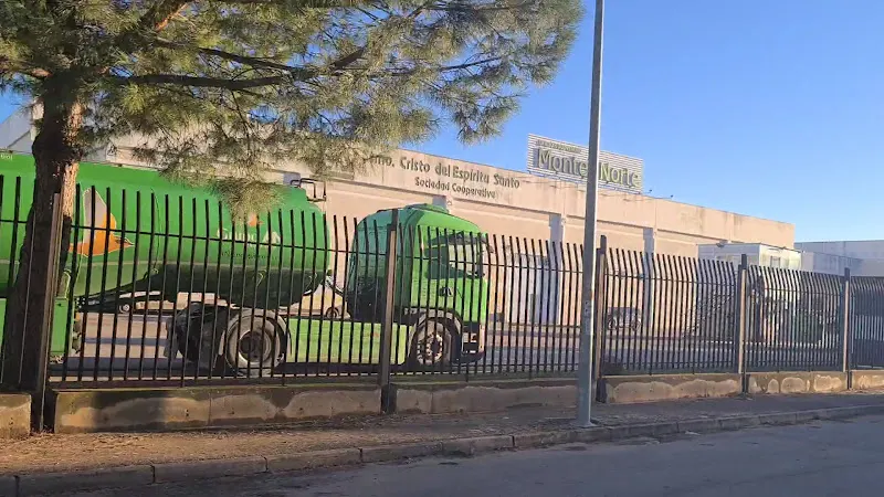Coop Santísimo Cristo del Espíritu Santo SCCLM - Bodega en Ciudad Real - foto 2