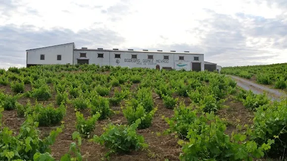 Bodegas Gómez Nevado S.L. - Córdoba