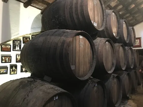Bodegas San Acacio