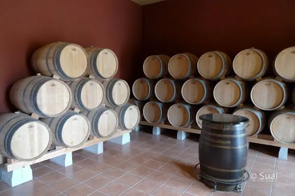 Bodega El Pujío - Puente Genil