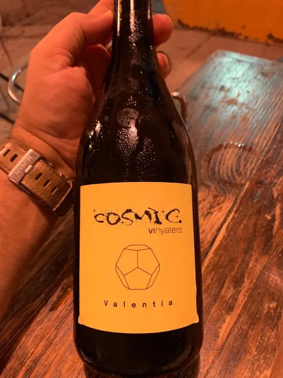 Celler Còsmic Vinyaters - Figueres