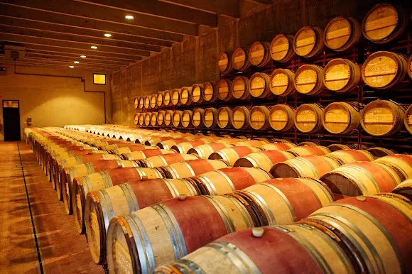 Mas Llunes, Vinyes i Cellers - Figueres
