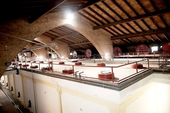 Bodega Celler D'Espolla - Figueres