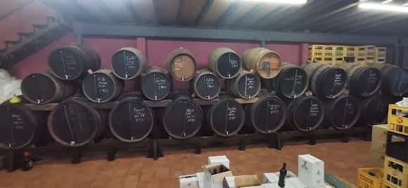 Vins Can Mas
