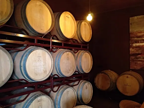 Celler i Vinyets de Vins de Taller - Figueres