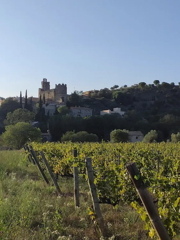 Celler Castelló-Murphy - Figueres