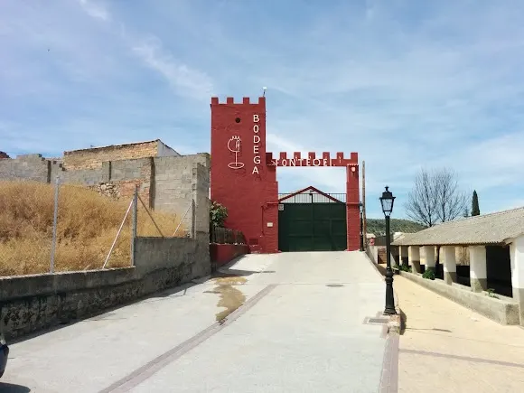 Bodegas Fontedei - Deifontes