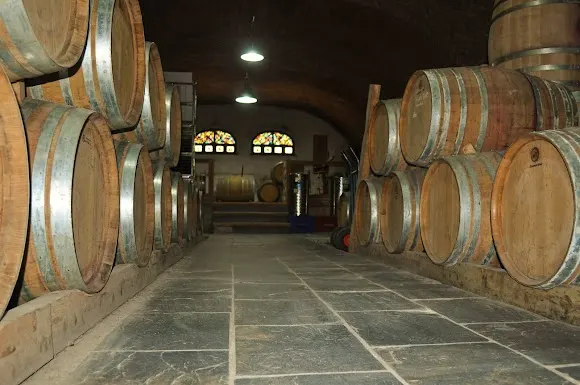 Bodega Barranco Oscuro