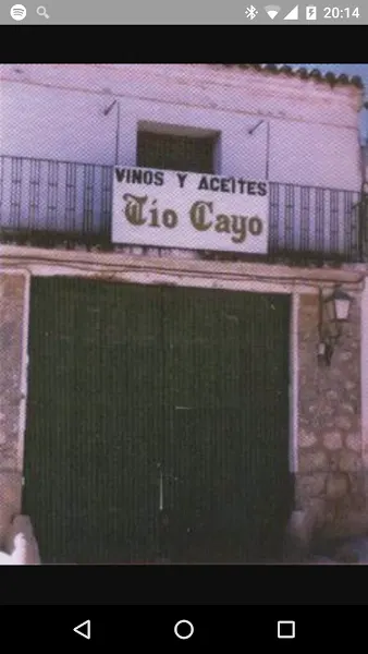 Bodegas Tio Cayo - Tienda de vinos en Alcalá de Henares - foto 2