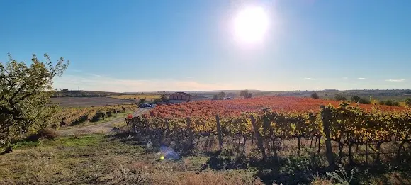 BODEGAS MELER