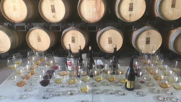 Edra Bodega - Huesca