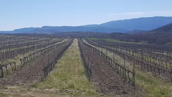 El Vinyer - Balaguer